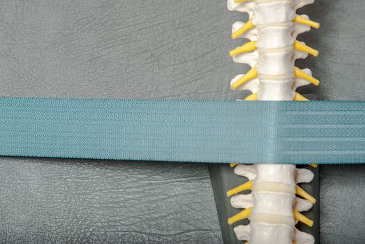 Manual, physio and kinesio therapy techniques performed by a male physiotherapist on a training plastic spine and a female patient