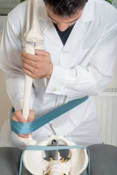 Manual, physio and kinesio therapy techniques performed by a male physiotherapist on a training plastic spine and a female patient