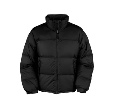 black male winter vest isolated