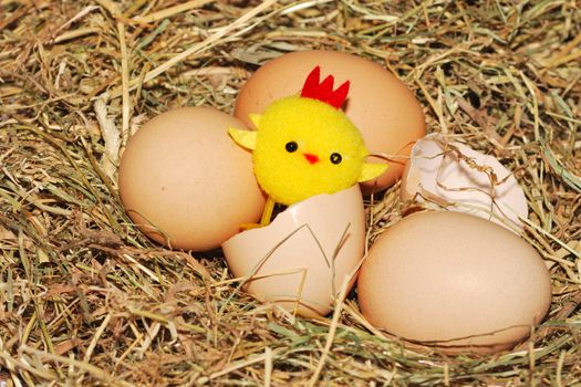 toy chick hatching from egg