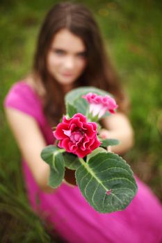 flower in woman hands close up