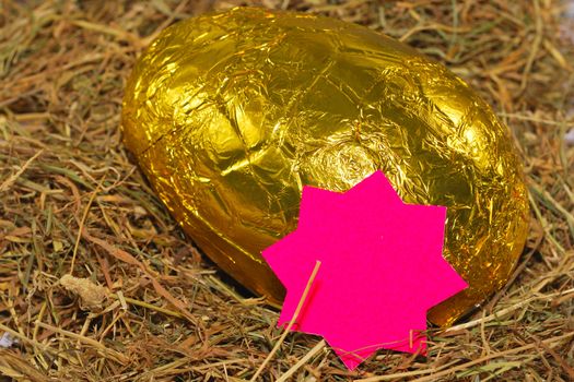 easter egg with star