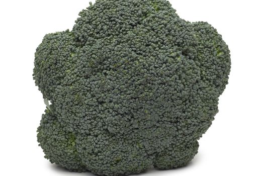 Broccoli isolated on white background