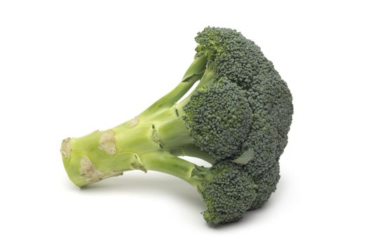 Broccoli isolated on white background