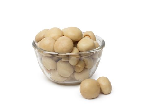 A small dish of tasty canned sliced mushrooms.