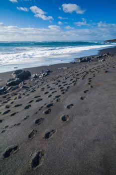 Exotic beach with black sand and footprints on Lanzarote, Canary islands, Spain