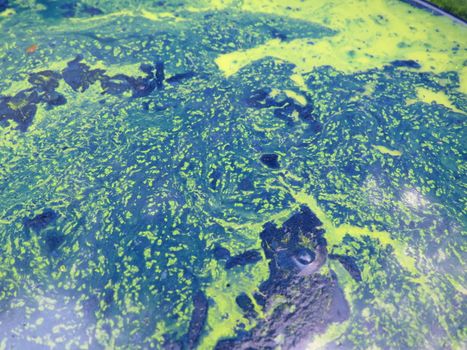 A view of an abstract flush of paints creating an effect looking like earth topography clicked from a satellite.