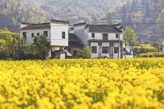 Rural houses in Wuyuan, Jiangxi Province, China.