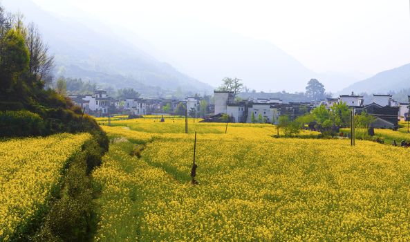 Rural landscape in Wuyuan, Jiangxi Province, China.