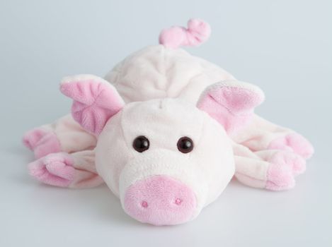 Stuffed pinf piggy isolated