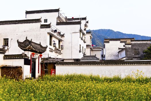 Rural houses in Wuyuan, Jiangxi Province, China.