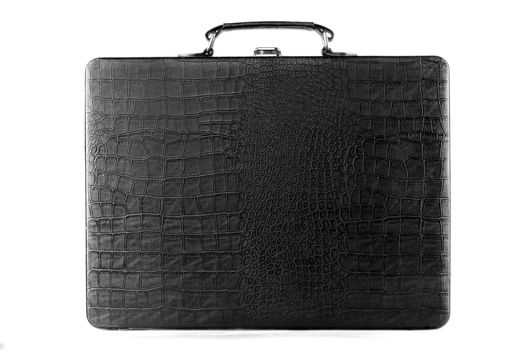 Black Leather Carrying Case on white background