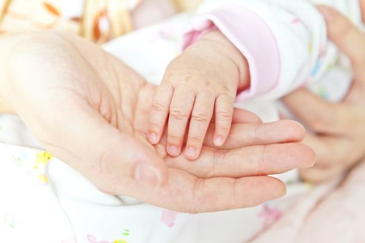 Close-up of baby's hand holding mother's hand