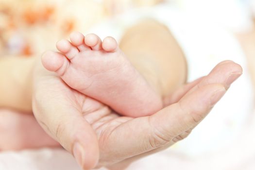 Feet of newborn baby in mothers hands