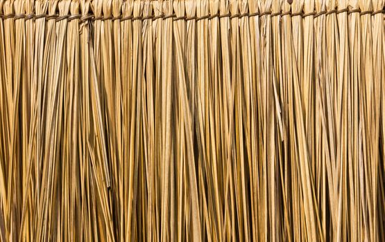 Close up straw background. Texture of straw