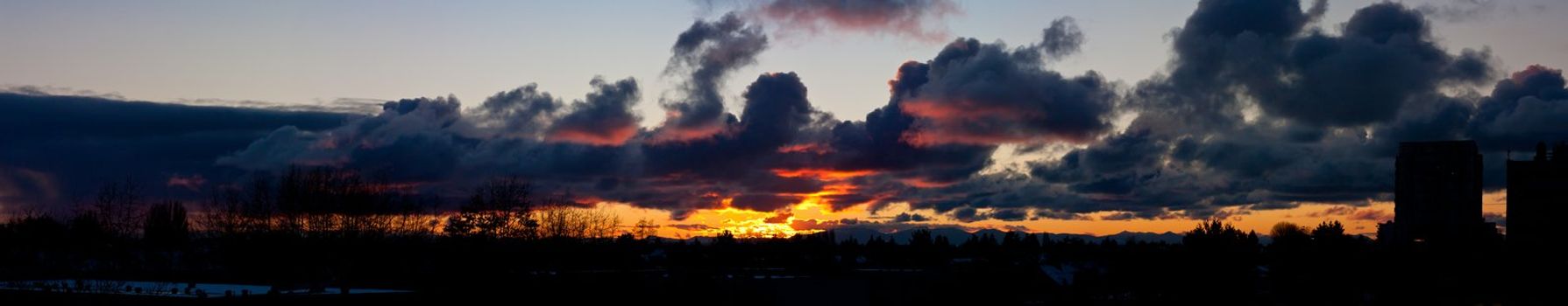 Evening panorama of sky above trees in Richmond.