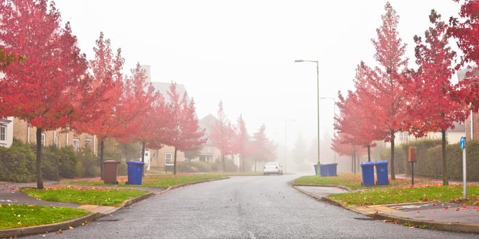 Misty autumn scene in a UK neighbourhood