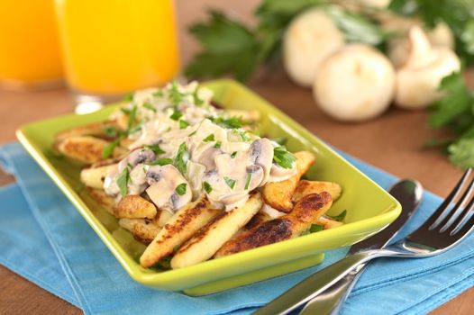 Schupfnudeln (Swabian potato noodles from Southern Germany) with mushroom sauce (Selective Focus, Focus on the front of the mushroom sauce) 