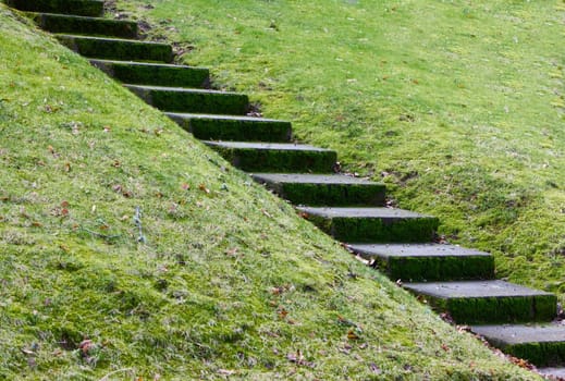 Diagonal concrete steps across a hill of grass