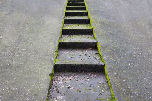 Green moss encrusted concrete driveway with sunken stairway