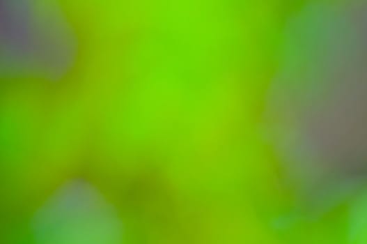 defocus of green background