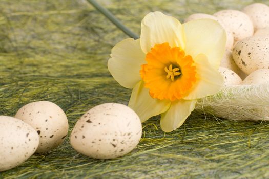 Full basket with decorated speckled easter eggs and daffodil