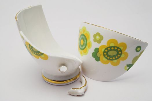 Borken pieces of a fine china cup
