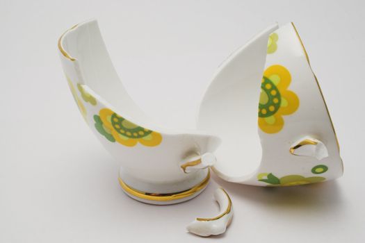 Pieces of a broken fine china cup