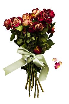 Withered rose bouquet with falling petals and tied with a green satin bow. Isolated on white.