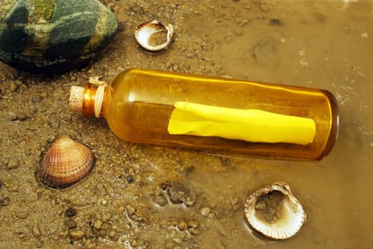 A message in a bottle washed up on the shore