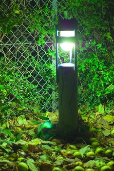 Night lamp at garden with green background