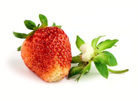 Red strawberry isolated on white background