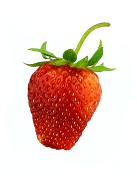 Red strawberry isolated on white background