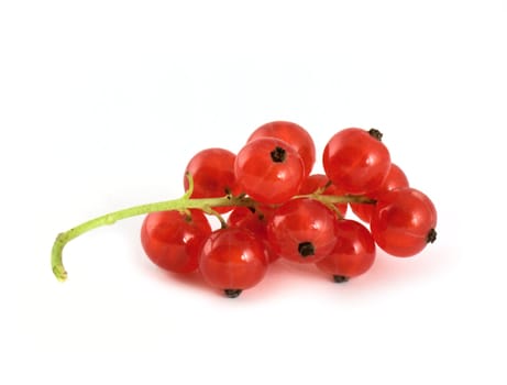 Currtant berries isolated on white background