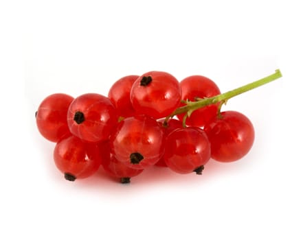 Currtant berries isolated on white background