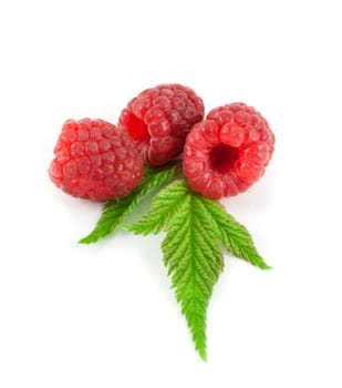 Fresh raspberry isolated on white background