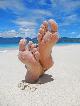 Sandy feet on a tropical beach                              