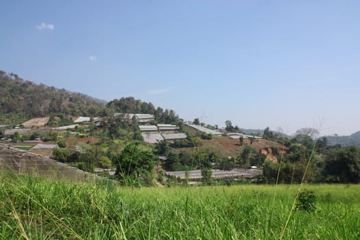 beautiful place in Thailand, the hills are visible greenhouses