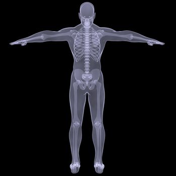 X-ray of man. Render on a black background