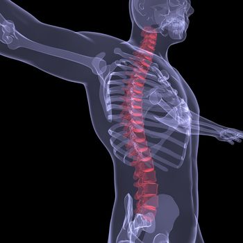 X-ray of the human spine. Render on a black background