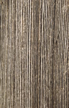 old grunge wall board texture. Time affected wood closeup macro background.