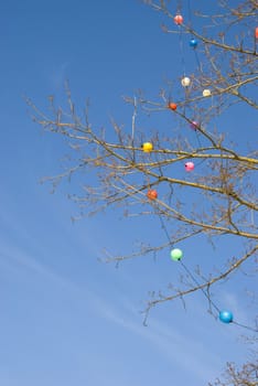 Multicolored christmas toys decorated on deciduous leafy tree branches in winter on background blue sky.