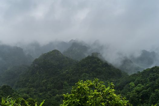 Peak in Cat Ba National Park. North Vietnam.