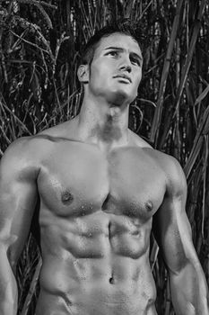 View of a very fit male model with muscles on the countryside.