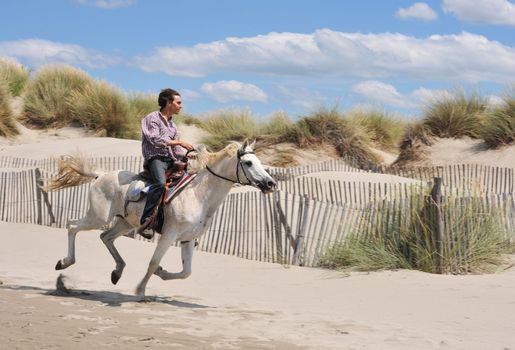 young man and his white horse galloping on the beach