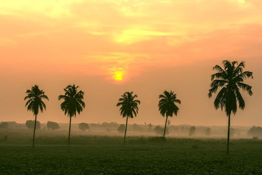 After Dawn. Chonburi Province, Thailand.