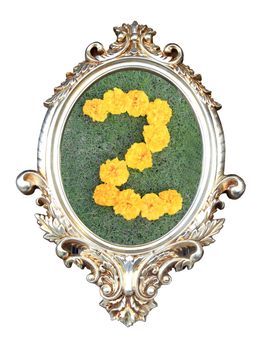 flowers number in a frame of on green grass background