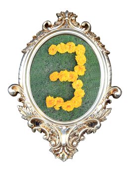 flowers number in a frame of on green grass background