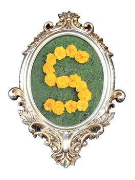 flowers number in a frame of on green grass background