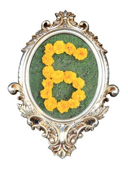 flowers number in a frame of on green grass background